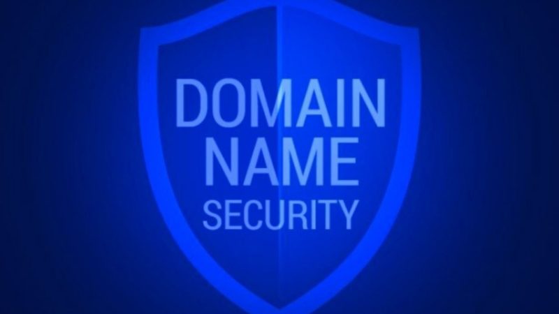Do Not Lose Your Domain Name To Cybercrimes