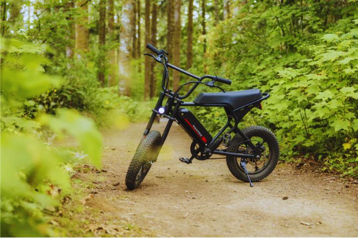 Everything You Need to Know About Electric Bikes in the U.S. (2025)
